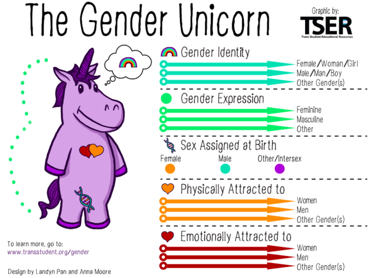 The Gender Unicorn Worksheet