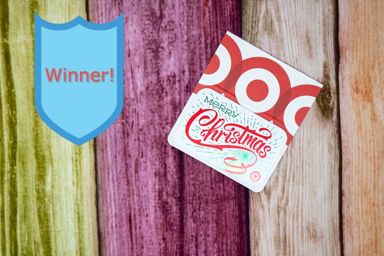 Announcing the $500 Target Gift Card Giveaway Winner!