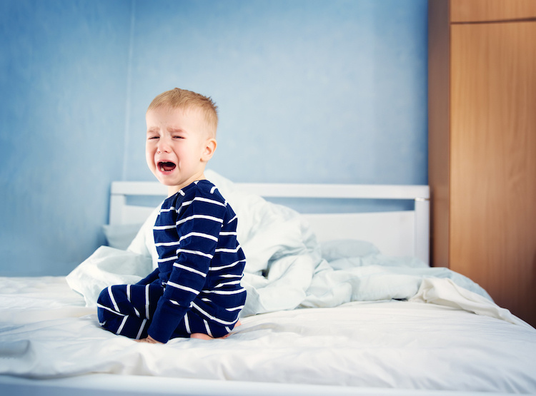 How Can I Get My Toddler to Stop Screaming Bloody Murder Every Night When I Try and Put Him to Bed?