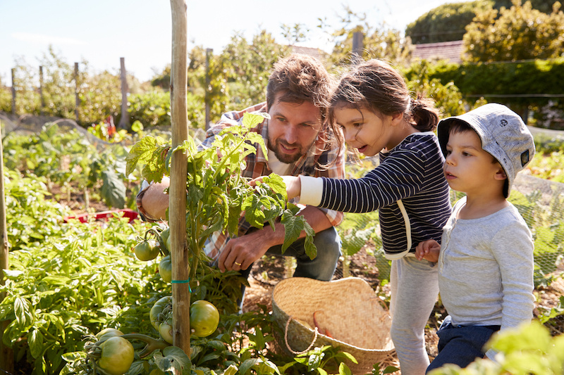 7 Fun, Creative Ways to Get Out of the House With Kids This Summer