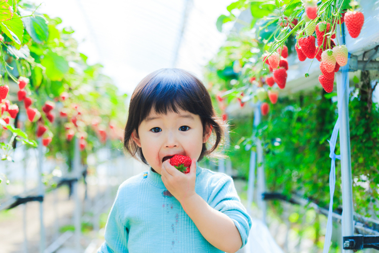 25 Adorable Japanese Baby Names for Girls Japan