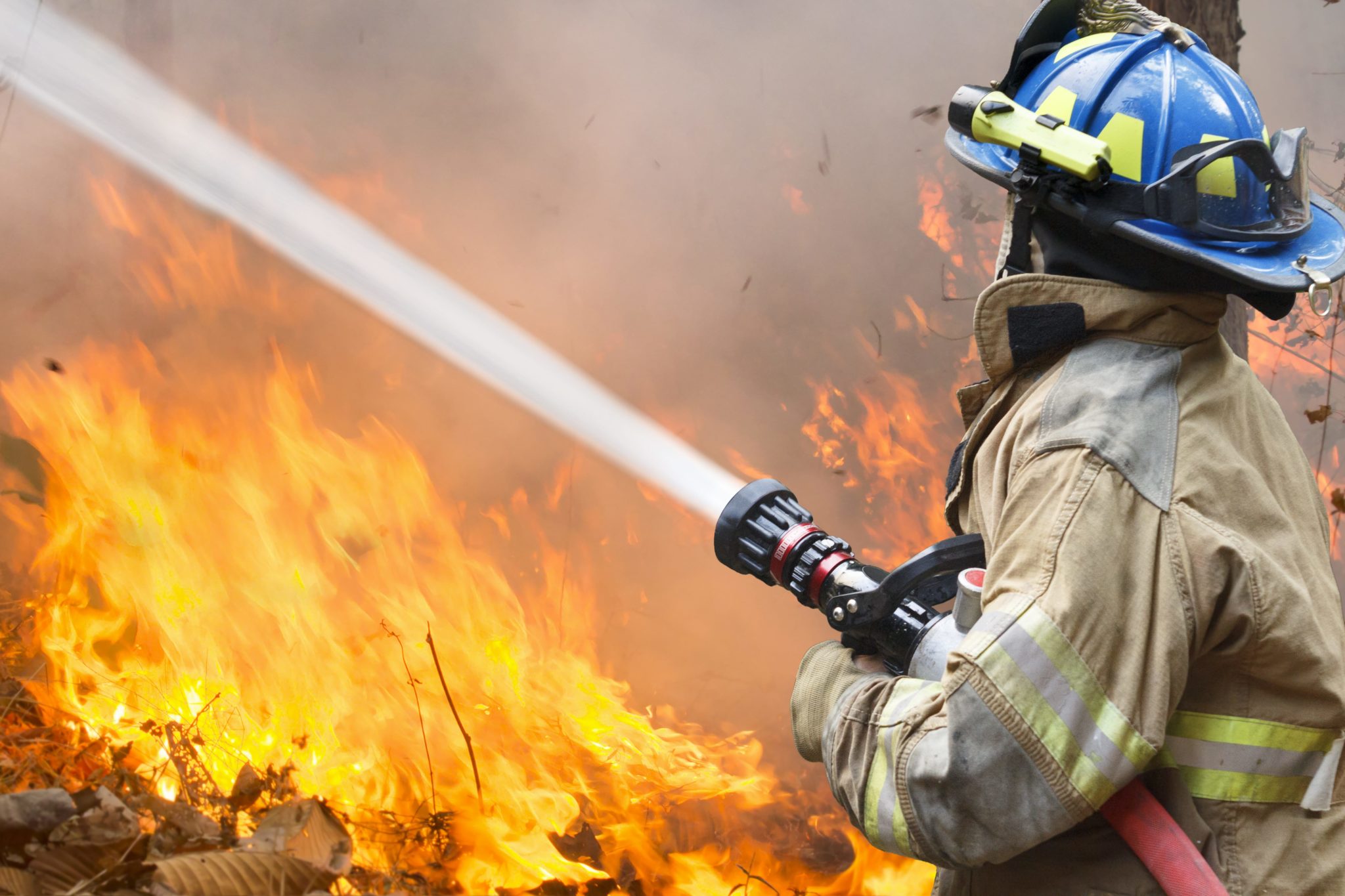 Couple Who Used a Smoke Bomb for Their Gender Reveal That Allegedly Started a 23-Day Fire Charged With Involuntary Manslaughter