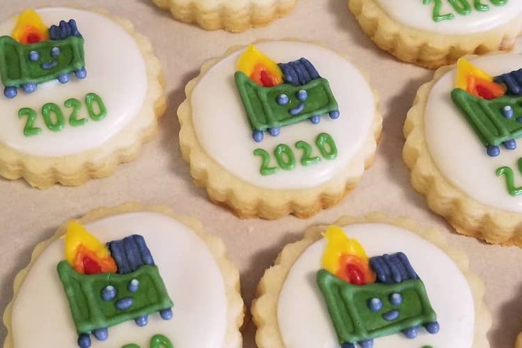 2020 is Perfectly Summed Up in These 31 Hilarious Cookies