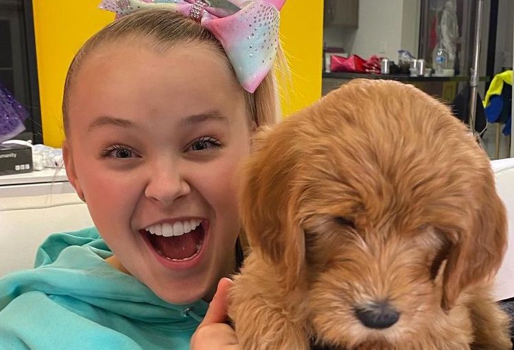 JoJo Siwa Responds to 'Inappropriate' Game