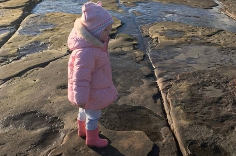 4-Year-Old Finds 220 Million-Year-Old Dinosaur Footprint