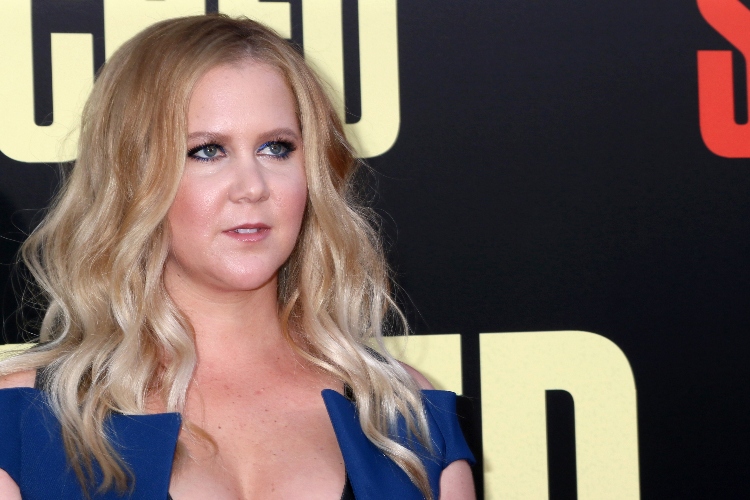 Amy Schumer Posts Nudes Featuring Her C-Section Scars