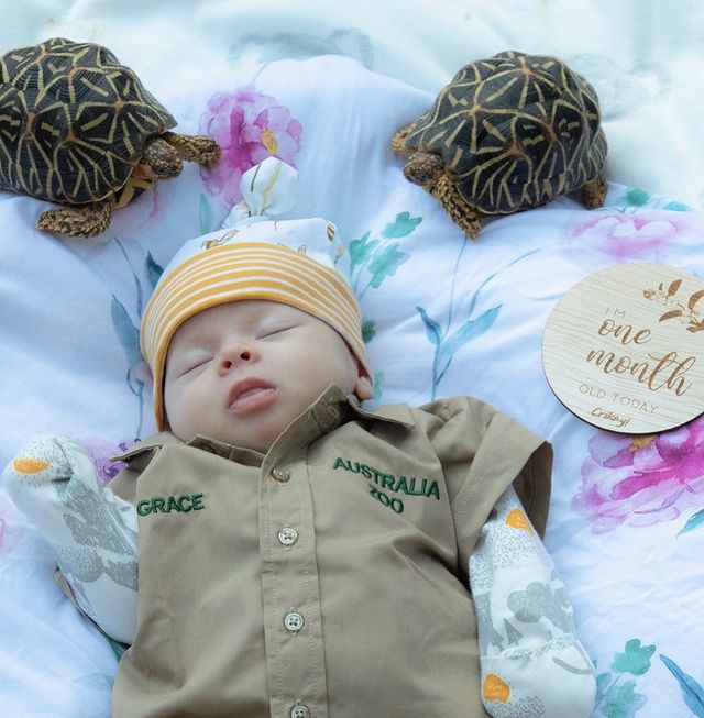 Bindi Irwin Celebrates 1-Month-Old Daughter In Khakis