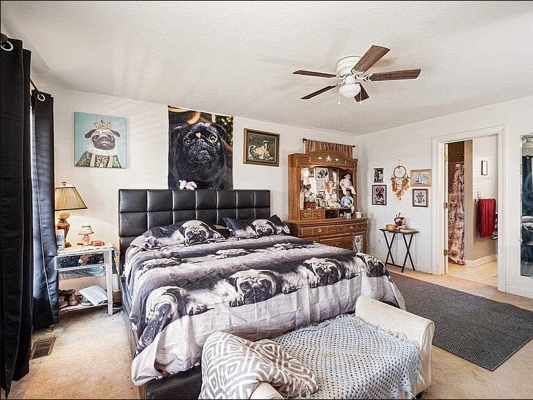 The 25 Wildest Photos from Zillow Real Estate Listings You Will Ever See