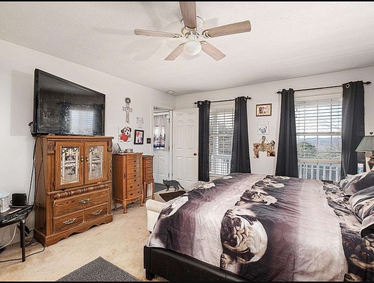 The 25 Wildest Photos from Zillow Real Estate Listings You Will Ever See