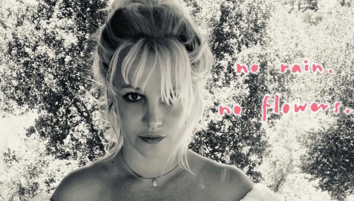 Britney Spears Posts To Instagram Following Earth Shattering Hearing