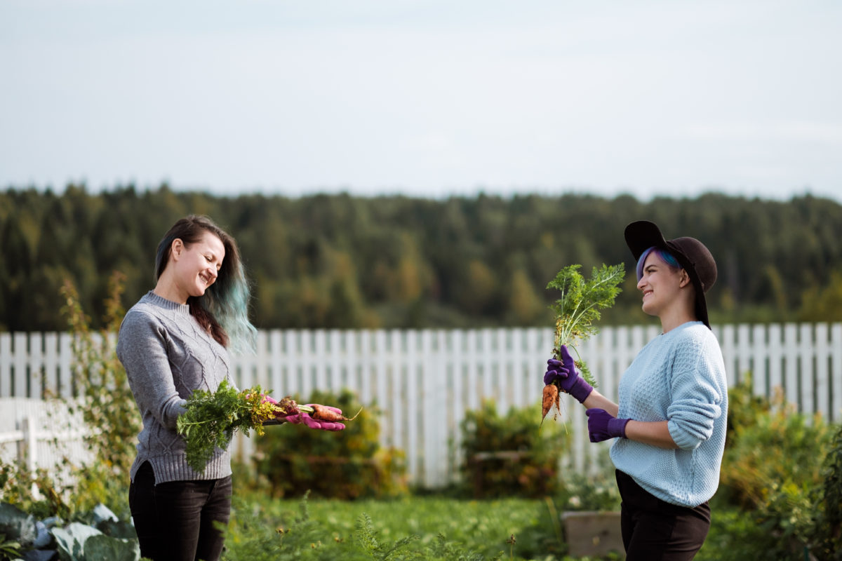 AITA For Confronting My Neighbor Who Demanded We Stop Talking In Our Garden?