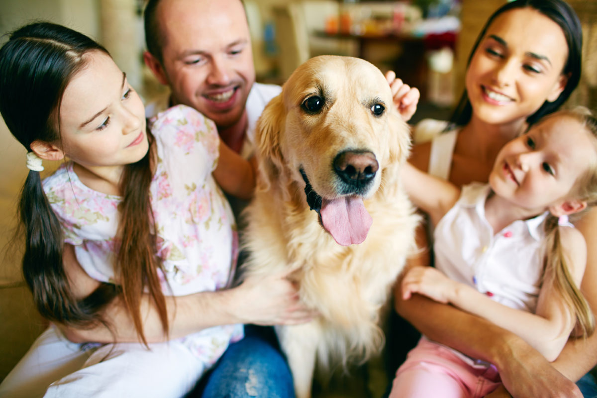 dog family health depression