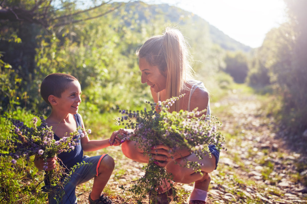 herb plant walk fun