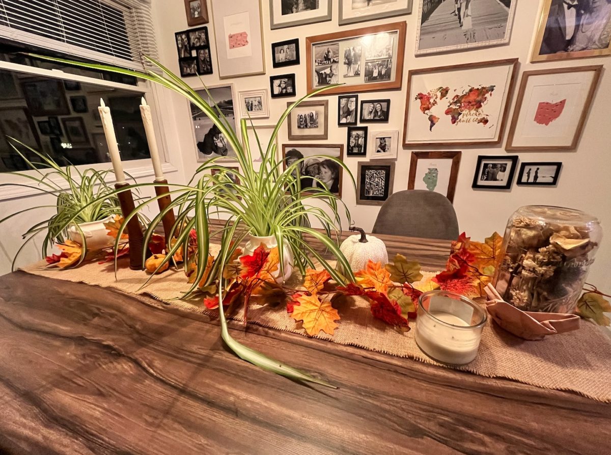 Cheap and Fun Way to Decorate Your Home for Fall