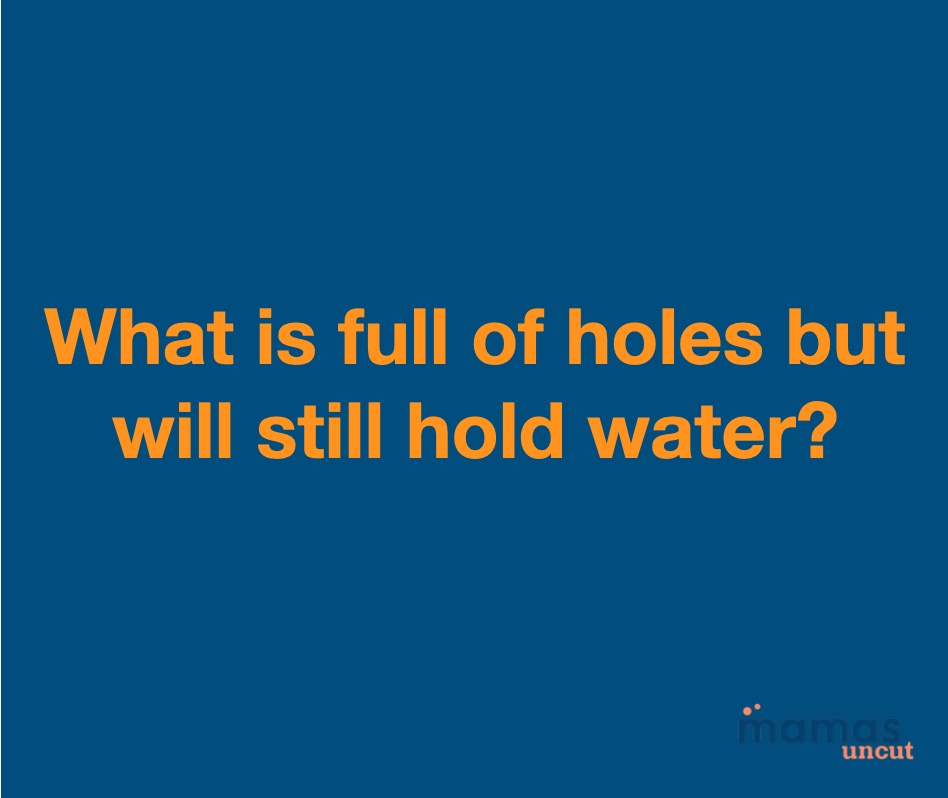 Riddle What Is Full of Holes But Will Still Hold Water?