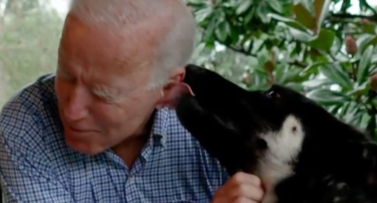 Joe And Jill Biden Adopt A German Shepherd Puppy Named 'Commander'