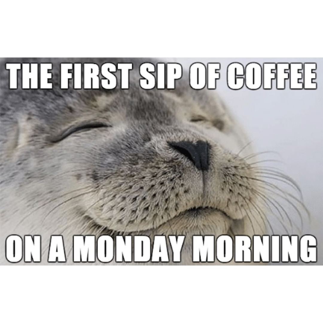 Get Your Fix with These Funny Coffee Memes