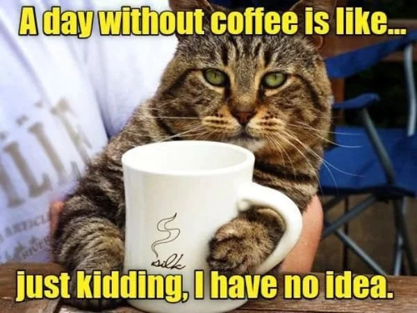 Get Your Fix with These Funny Coffee Memes