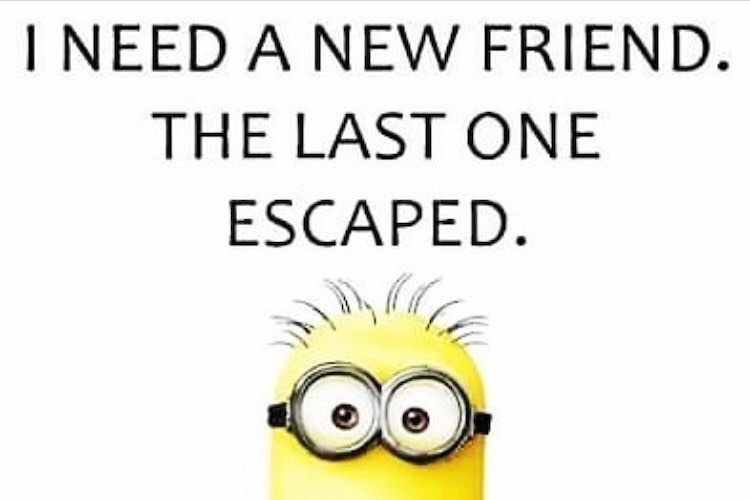 minion memes