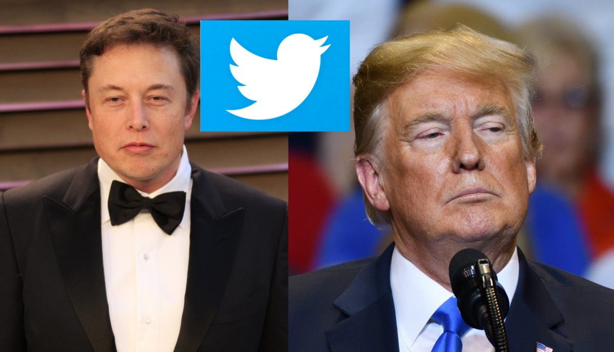 elon musk twitter trump