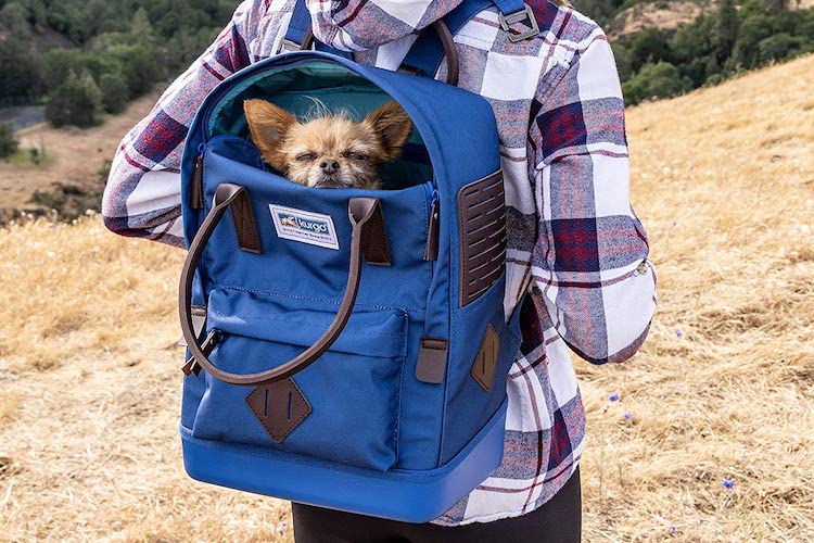 Dog Backpacks