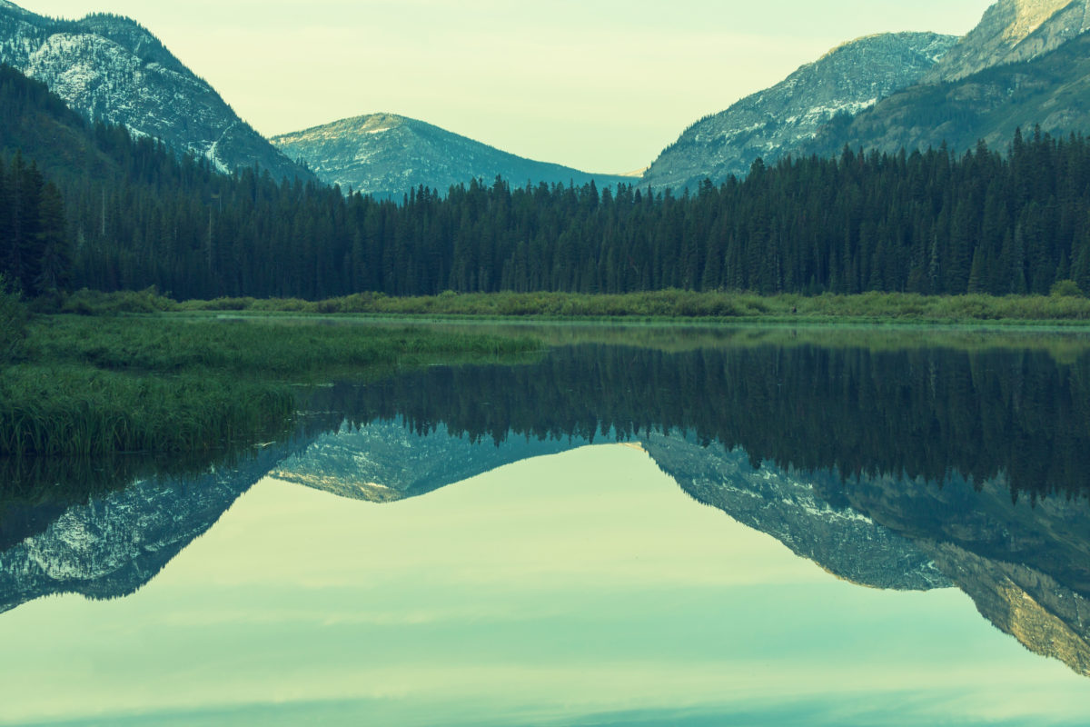 A 3-Year-Old Boy Survives Two Days Alone In Montana Wilderness