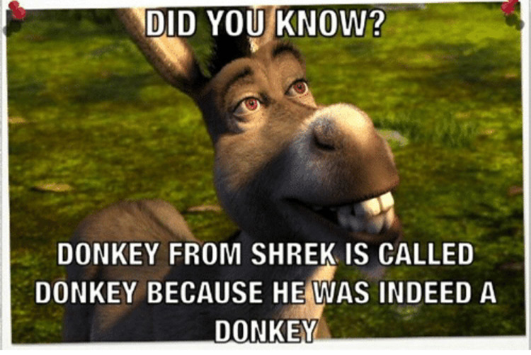 Hilarious Shrek Memes