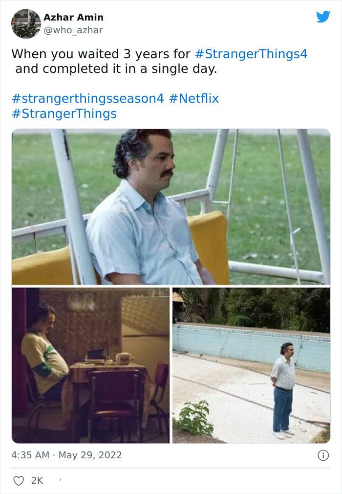 Stranger Things Memes