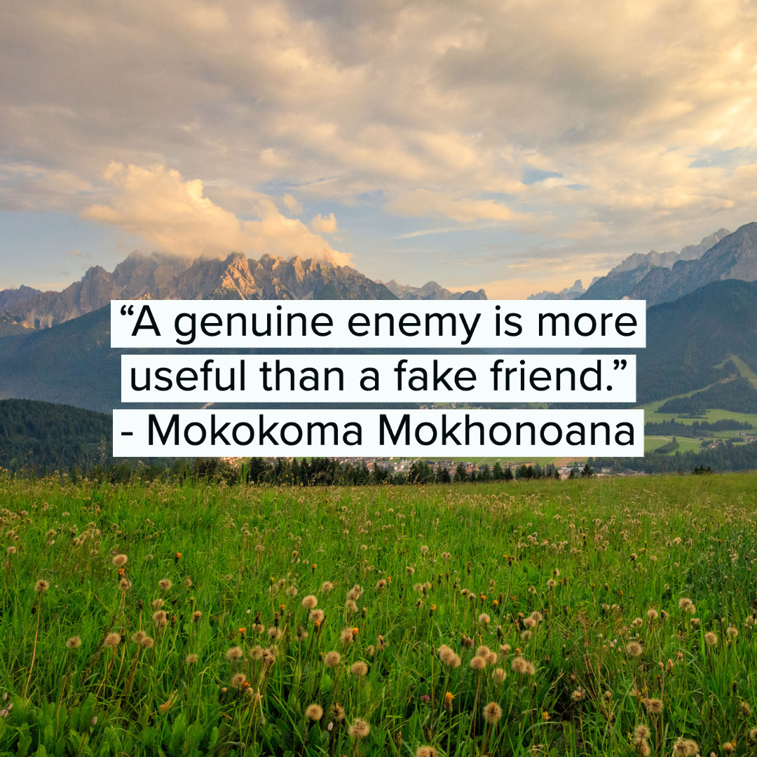 35 Fake People Quotes 