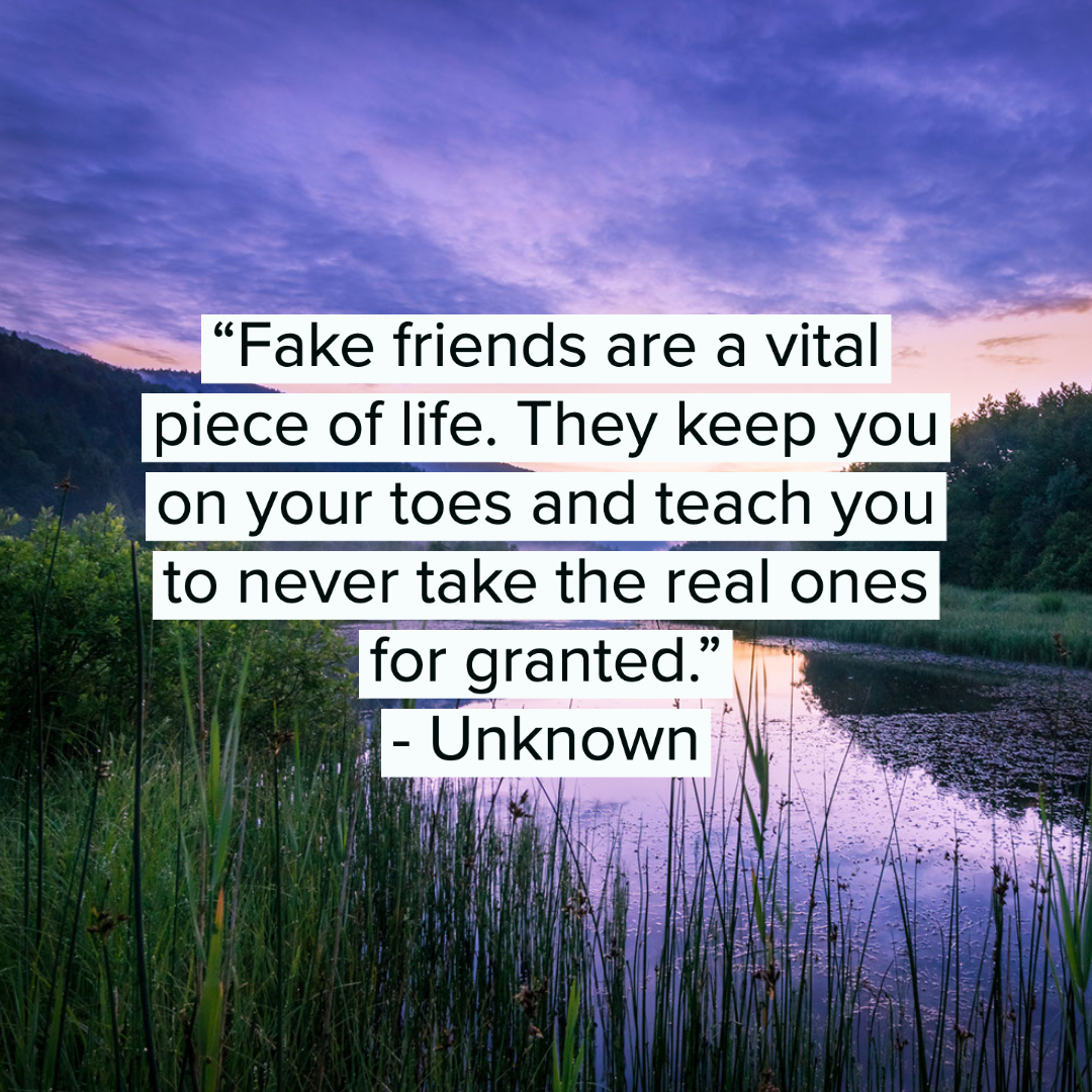 35 Fake People Quotes 