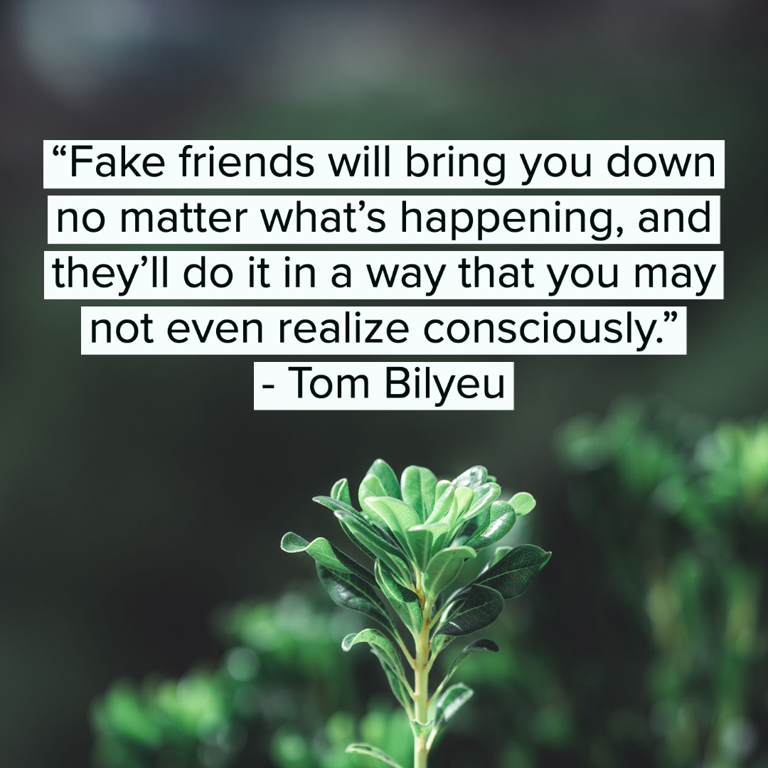 35 Fake People Quotes 