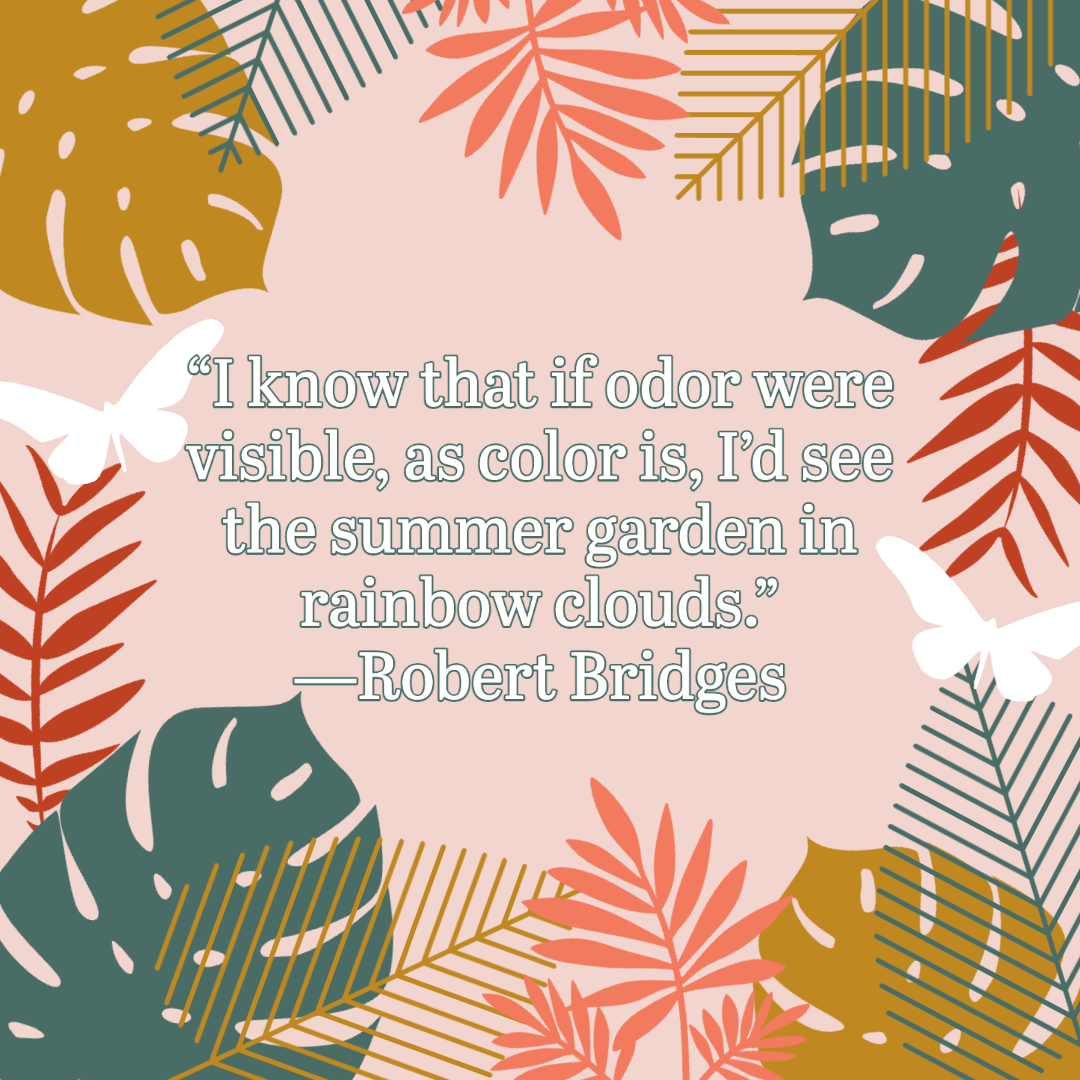 Summer Quotes