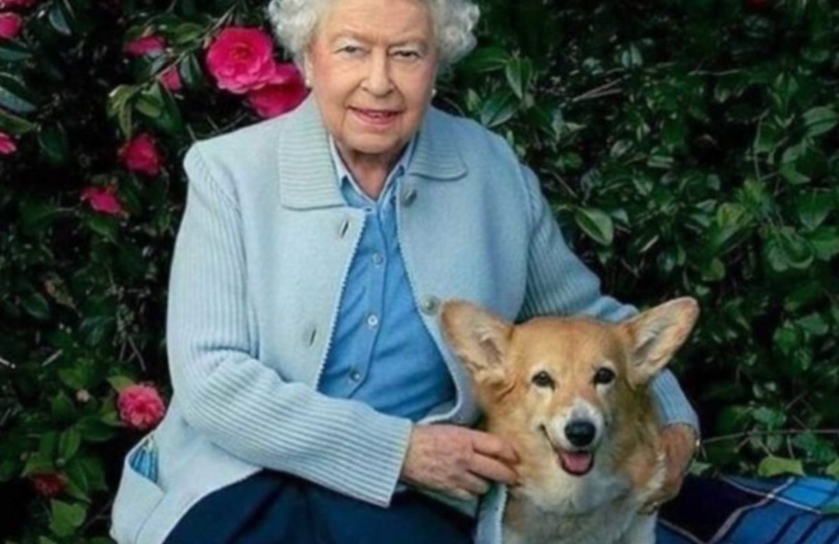 The World Adored Queen Elizabeth’s Love for Her Corgis, Now We Know What Will Happen to Them