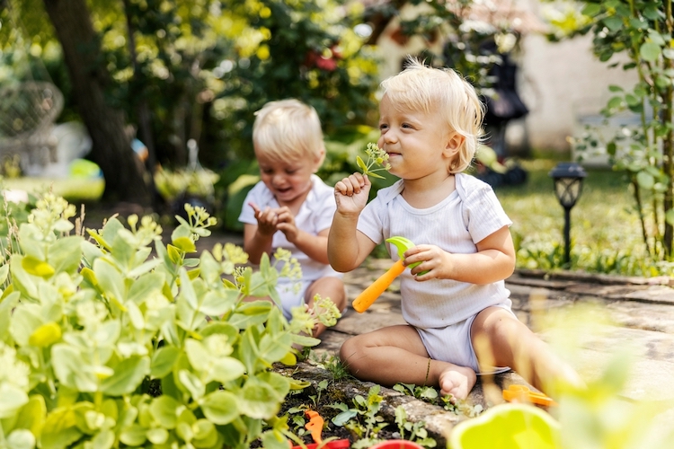 Herb and Spice Baby Names