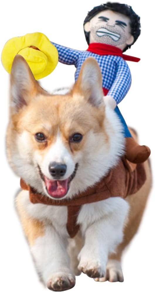 Pet Halloween Costumes