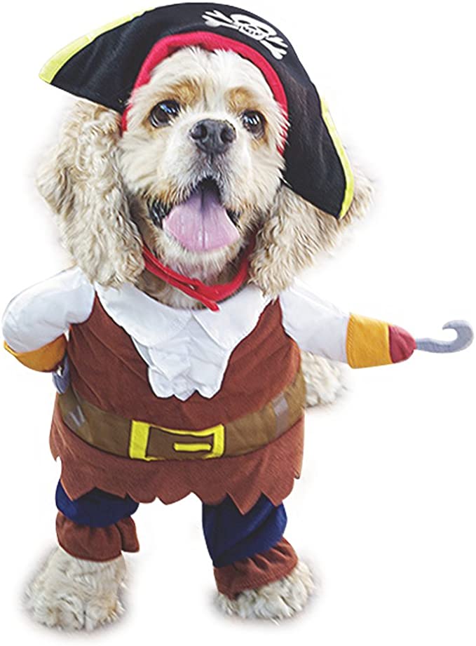 Pet Halloween Costumes