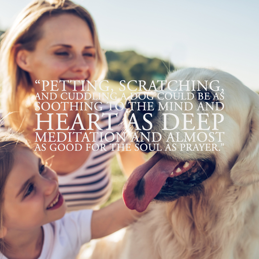 Quotes About Dogs