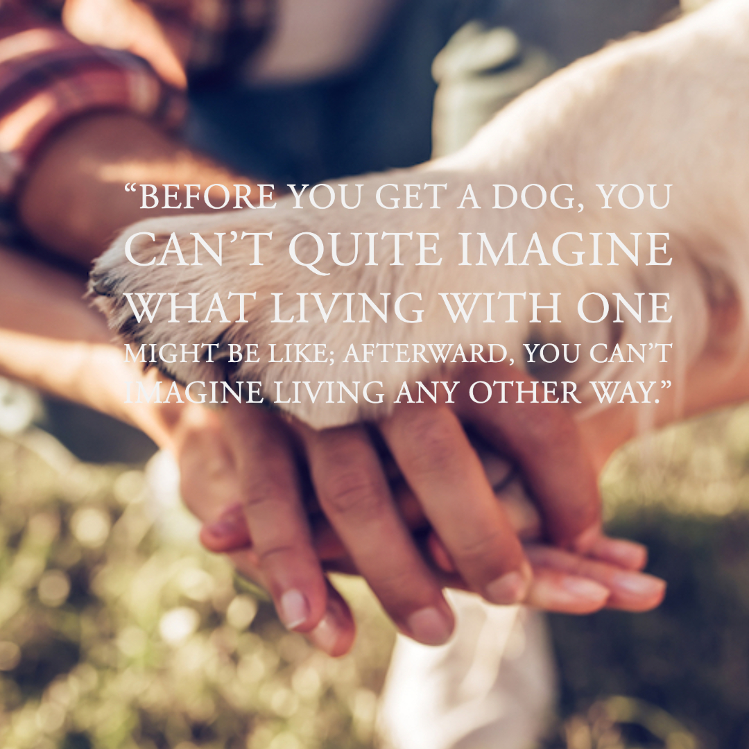 Quotes About Dogs