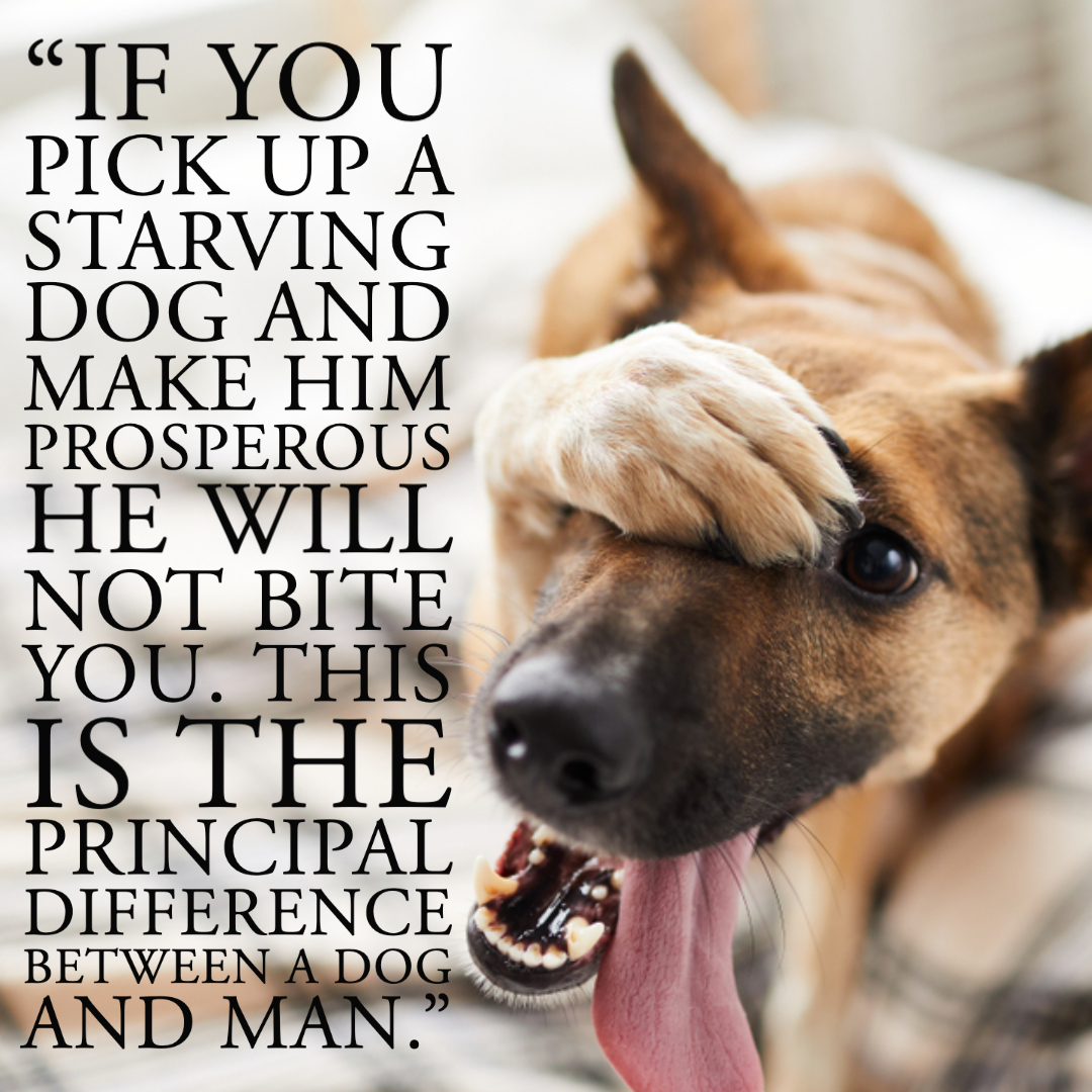 Quotes About Dogs