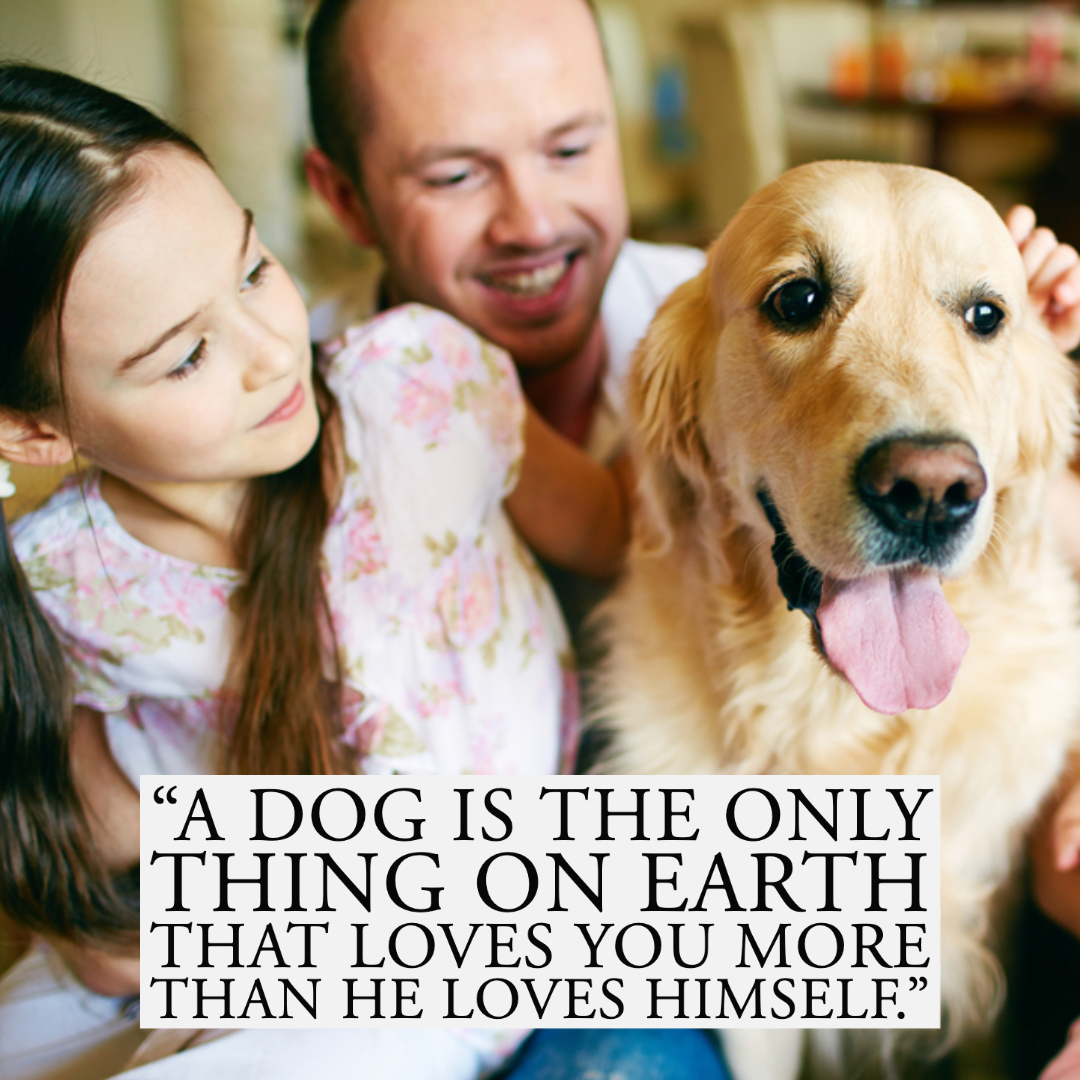 Quotes About Dogs