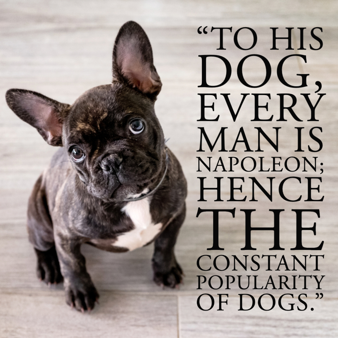 Quotes About Dogs