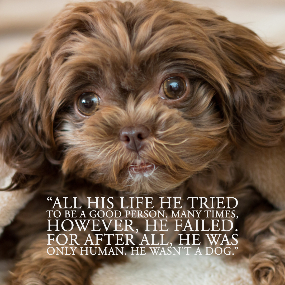 Quotes About Dogs