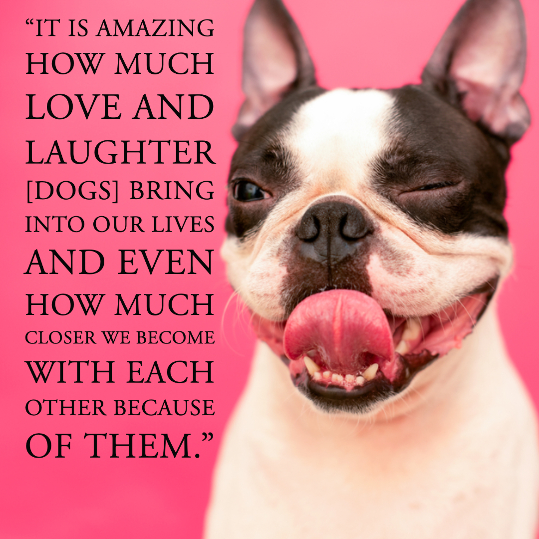 Quotes About Dogs