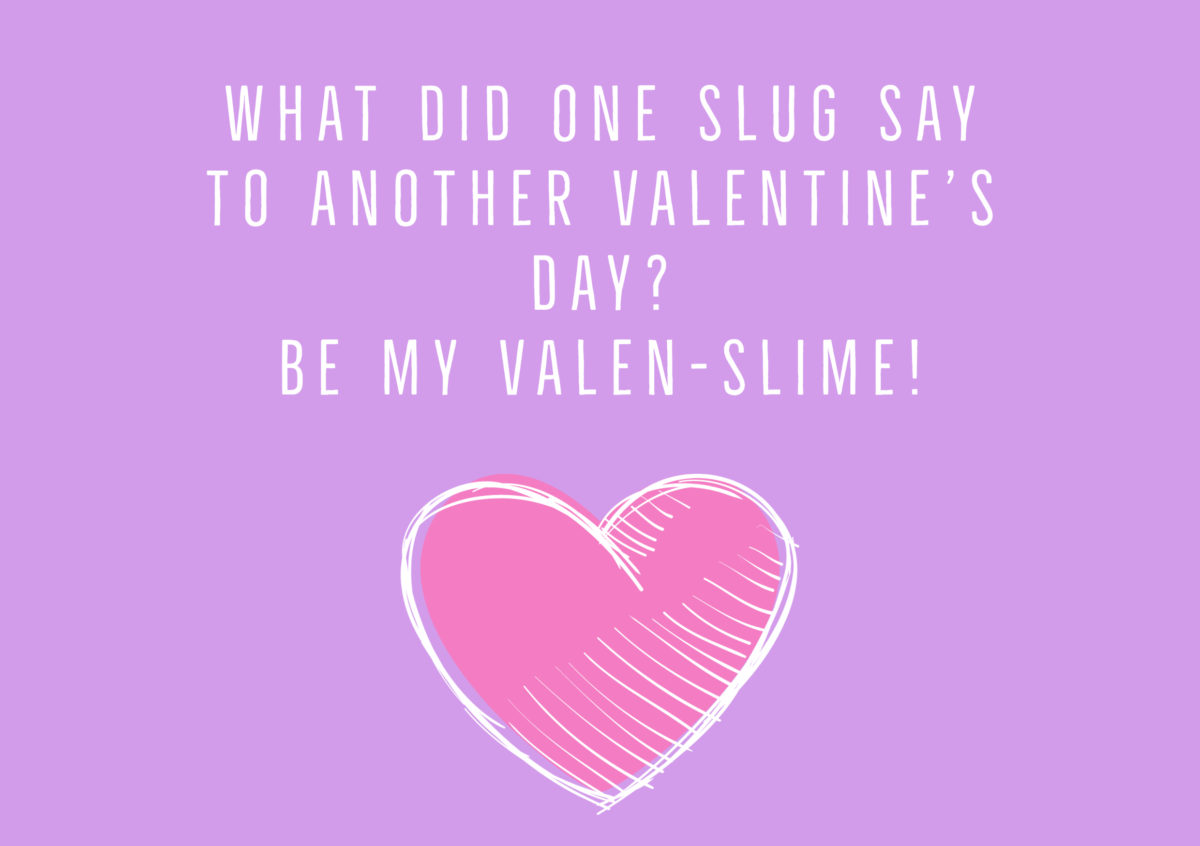 Valentine's Day Jokes