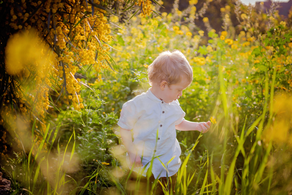 Most Popular Baby Names in Colorado