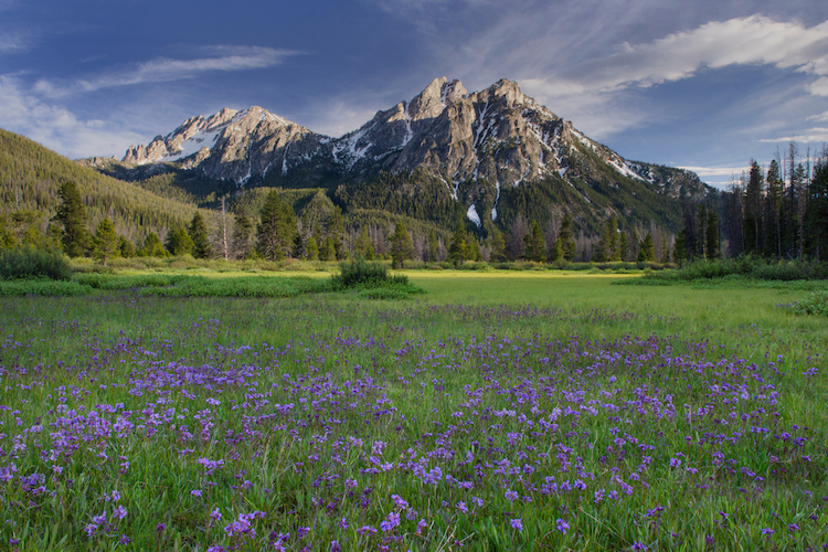 Most popular baby names in Idaho