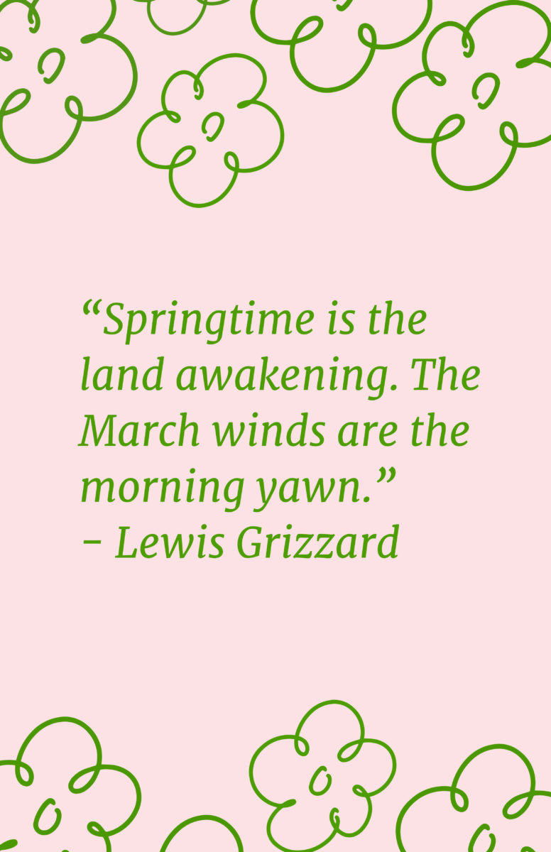 Quotes About Spring