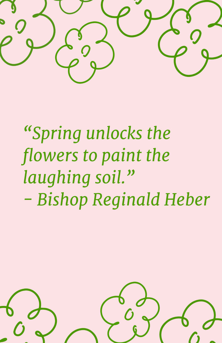 Quotes About Spring