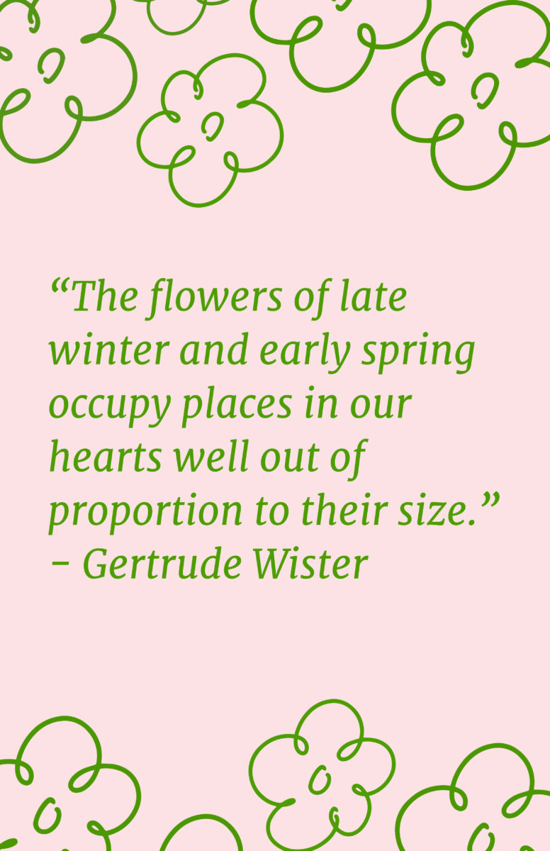 Quotes About Spring