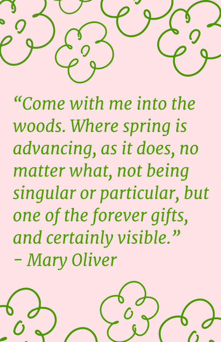 Quotes About Spring